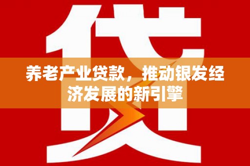 北部新区养老产业贷款，推动银发经济发展的新引擎