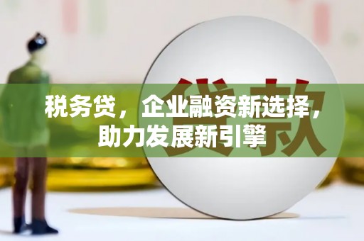 北部新区税务贷，企业融资新选择，助力发展新引擎