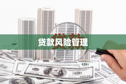 北部新区贷款风险管理