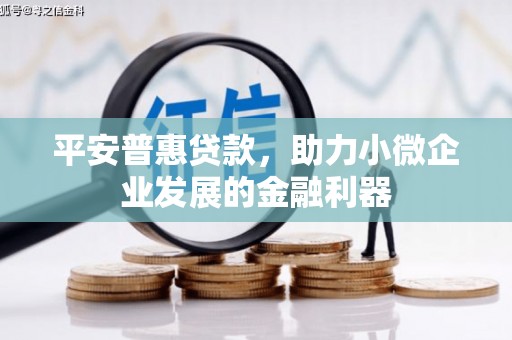 北部新区平安普惠贷款，助力小微企业发展的金融利器