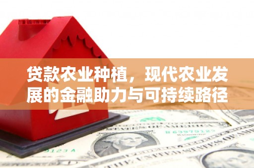 北部新区贷款农业种植，现代农业发展的金融助力与可持续路径