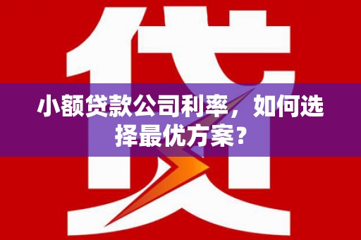 北部新区小额贷款公司利率，如何选择最优方案？