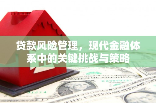 北部新区贷款风险管理，现代金融体系中的关键挑战与策略