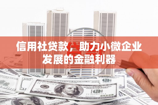北部新区信用社贷款，助力小微企业发展的金融利器