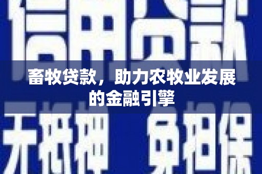 北部新区畜牧贷款，助力农牧业发展的金融引擎