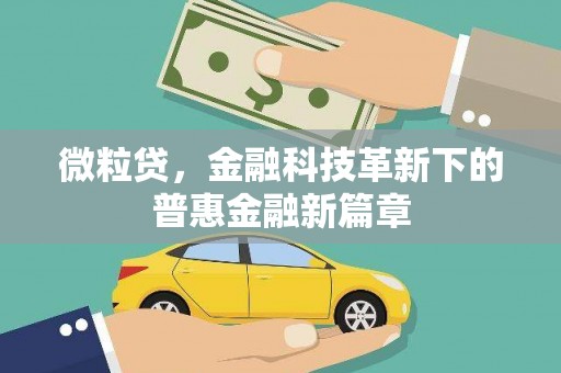 北部新区微粒贷，金融科技革新下的普惠金融新篇章