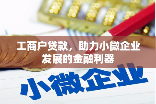 北部新区工商户贷款，助力小微企业发展的金融利器