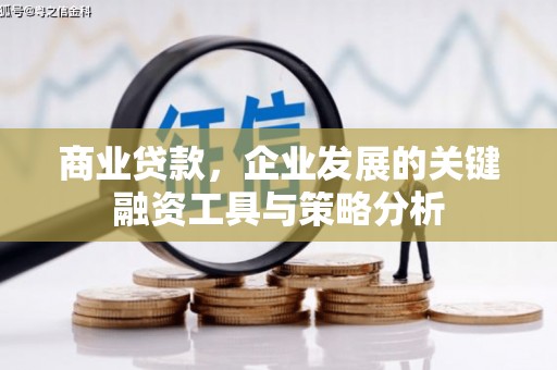 北部新区商业贷款，企业发展的关键融资工具与策略分析