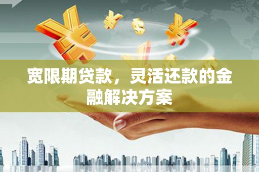 北部新区宽限期贷款，灵活还款的金融解决方案