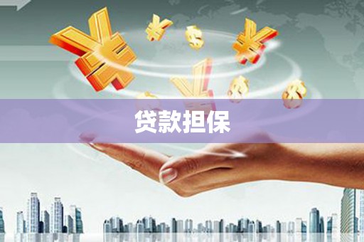 北部新区贷款担保