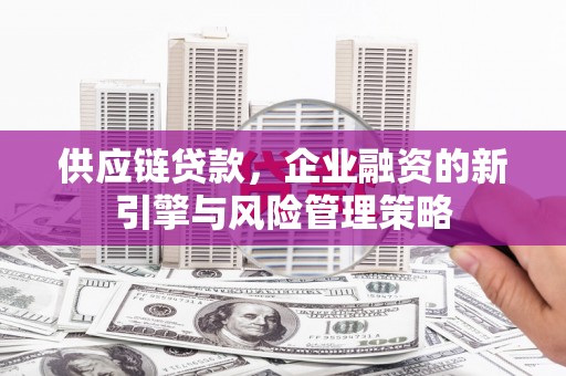 北部新区供应链贷款，企业融资的新引擎与风险管理策略