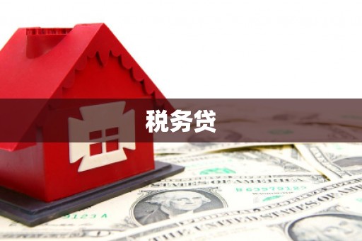 北部新区税务贷