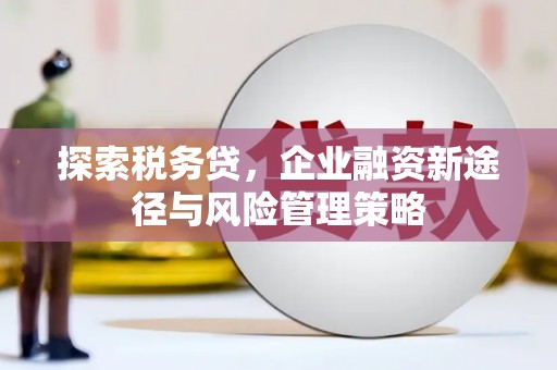北部新区探索税务贷，企业融资新途径与风险管理策略