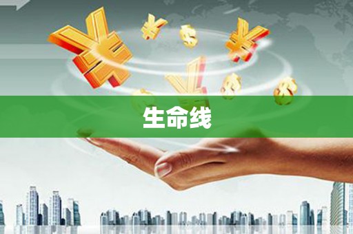 北部新区生命线