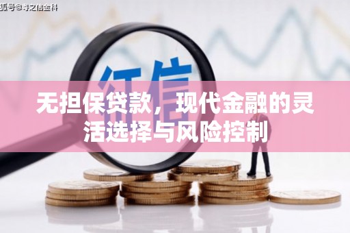 北部新区无担保贷款，现代金融的灵活选择与风险控制
