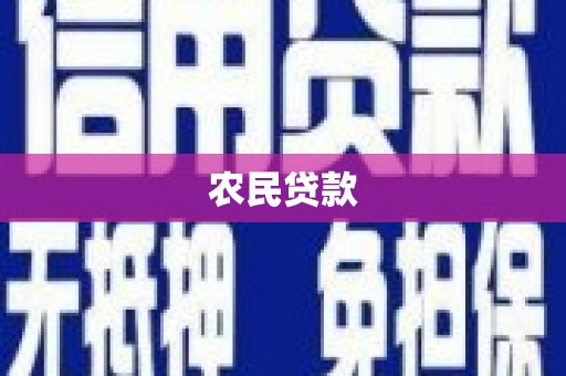 北部新区农民贷款