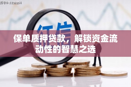 北部新区保单质押贷款，解锁资金流动性的智慧之选