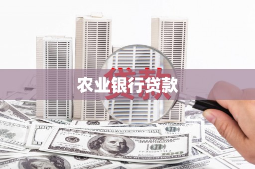 北部新区农业银行贷款