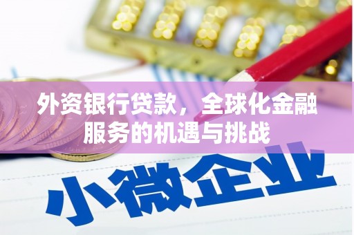北部新区外资银行贷款，全球化金融服务的机遇与挑战