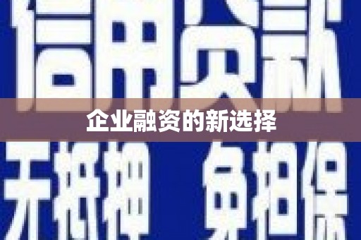 北部新区企业融资的新选择