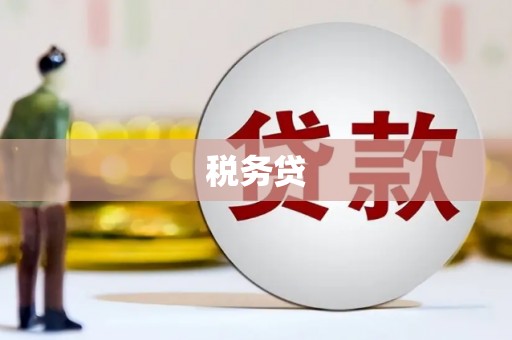 北部新区税务贷