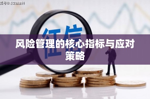 北部新区风险管理的核心指标与应对策略