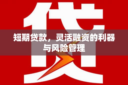 北部新区短期贷款，灵活融资的利器与风险管理