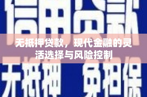 北部新区无抵押贷款，现代金融的灵活选择与风险控制