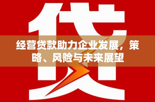 北部新区经营贷款助力企业发展，策略、风险与未来展望