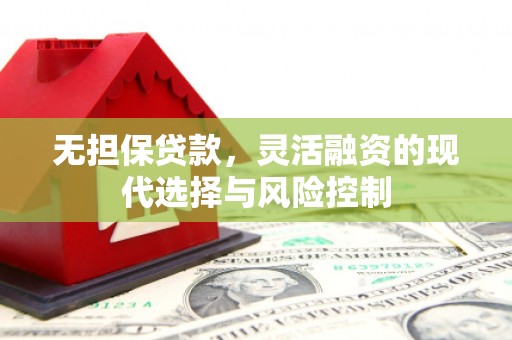 北部新区无担保贷款，灵活融资的现代选择与风险控制