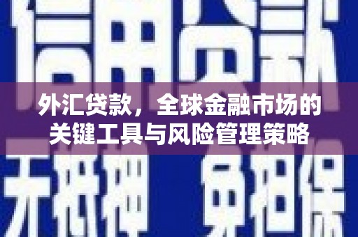北部新区外汇贷款，全球金融市场的关键工具与风险管理策略