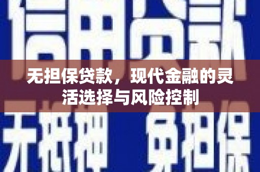 北部新区无担保贷款，现代金融的灵活选择与风险控制