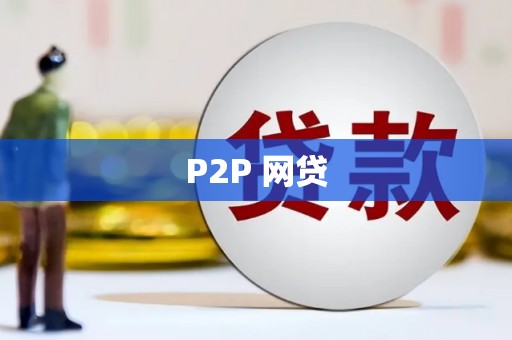 北部新区P2P 网贷