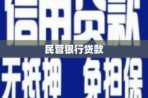 北部新区民营银行贷款