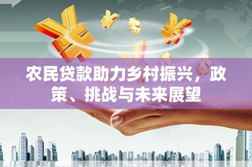 北部新区农民贷款助力乡村振兴，政策、挑战与未来展望