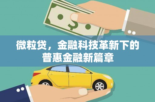 北部新区微粒贷，金融科技革新下的普惠金融新篇章