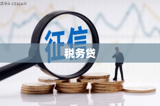 北部新区税务贷