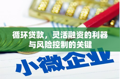 北部新区循环贷款，灵活融资的利器与风险控制的关键