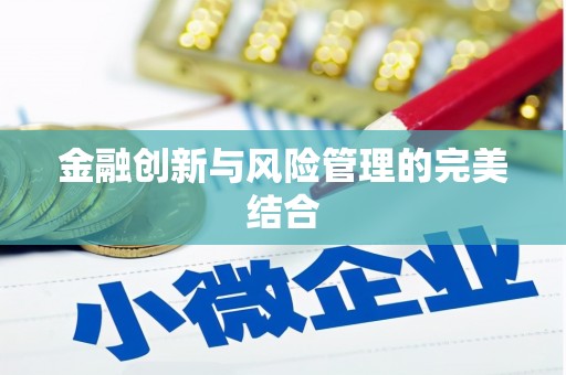 北部新区金融创新与风险管理的完美结合