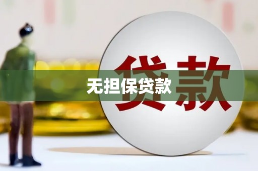 北部新区无担保贷款