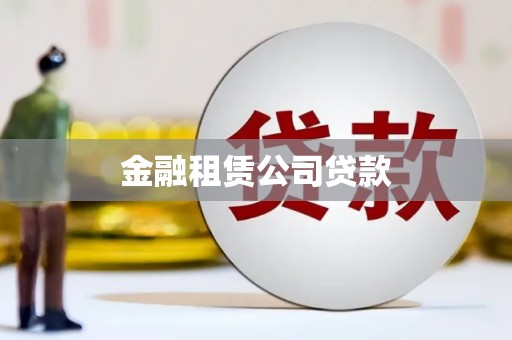 北部新区金融租赁公司贷款