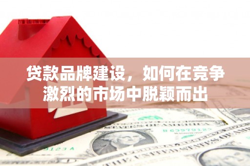 北部新区贷款品牌建设，如何在竞争激烈的市场中脱颖而出