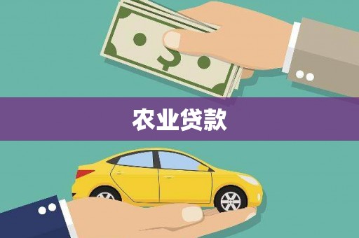 北部新区农业贷款