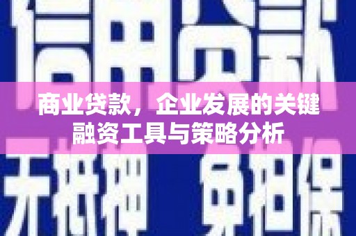 北部新区商业贷款，企业发展的关键融资工具与策略分析