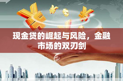 北部新区现金贷的崛起与风险，金融市场的双刃剑