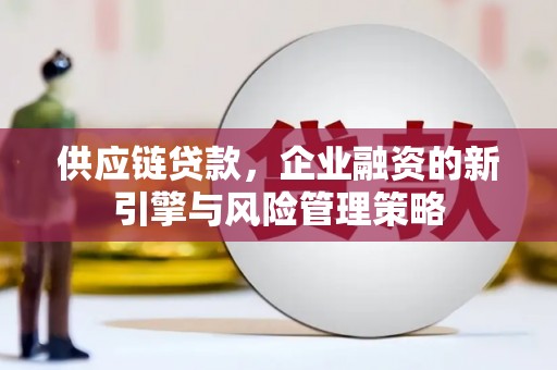 北部新区供应链贷款，企业融资的新引擎与风险管理策略