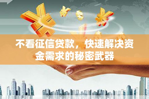 北部新区不看征信贷款，快速解决资金需求的秘密武器