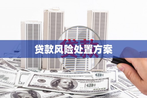 北部新区贷款风险处置方案
