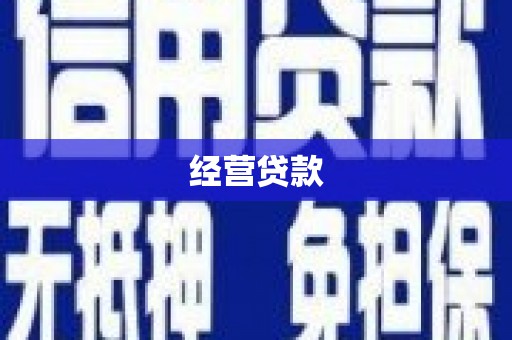 北部新区经营贷款