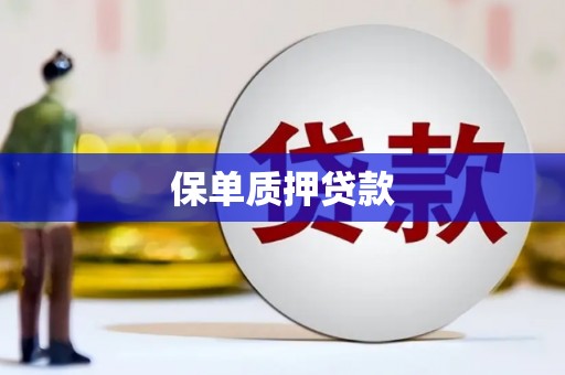 北部新区保单质押贷款